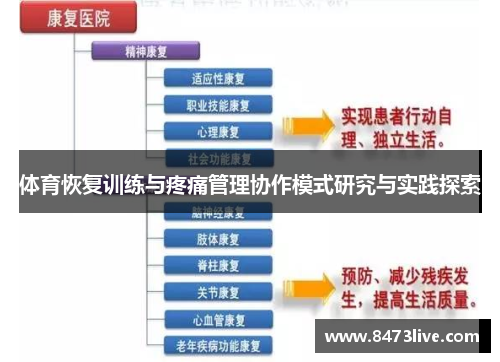 体育恢复训练与疼痛管理协作模式研究与实践探索