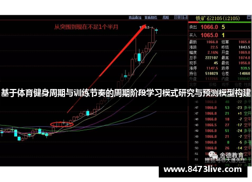 基于体育健身周期与训练节奏的周期阶段学习模式研究与预测模型构建