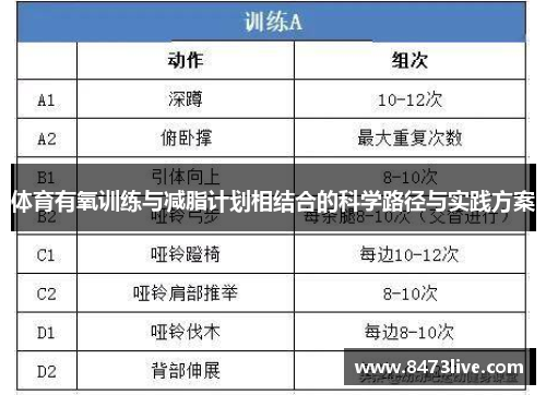 体育有氧训练与减脂计划相结合的科学路径与实践方案